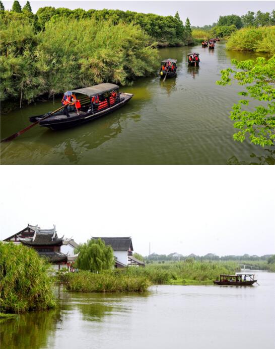 向往的生活，藏在初夏的沙家浜……